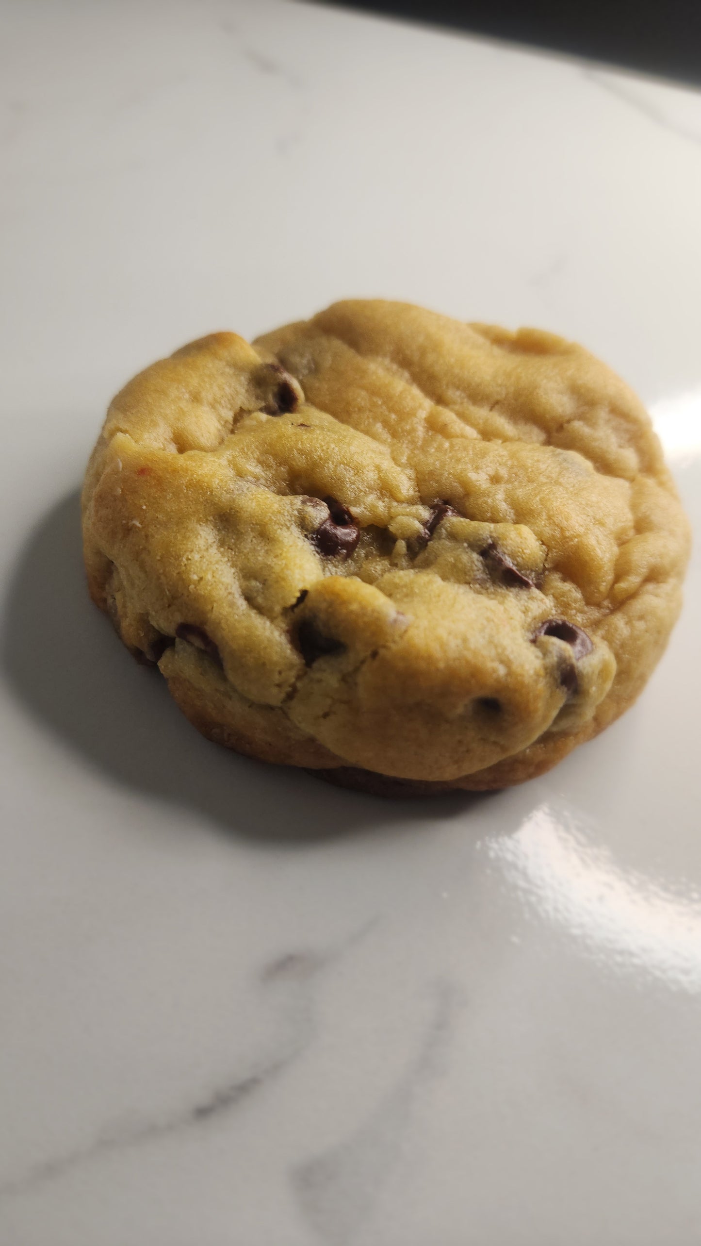 Chocolate Chip Cookie