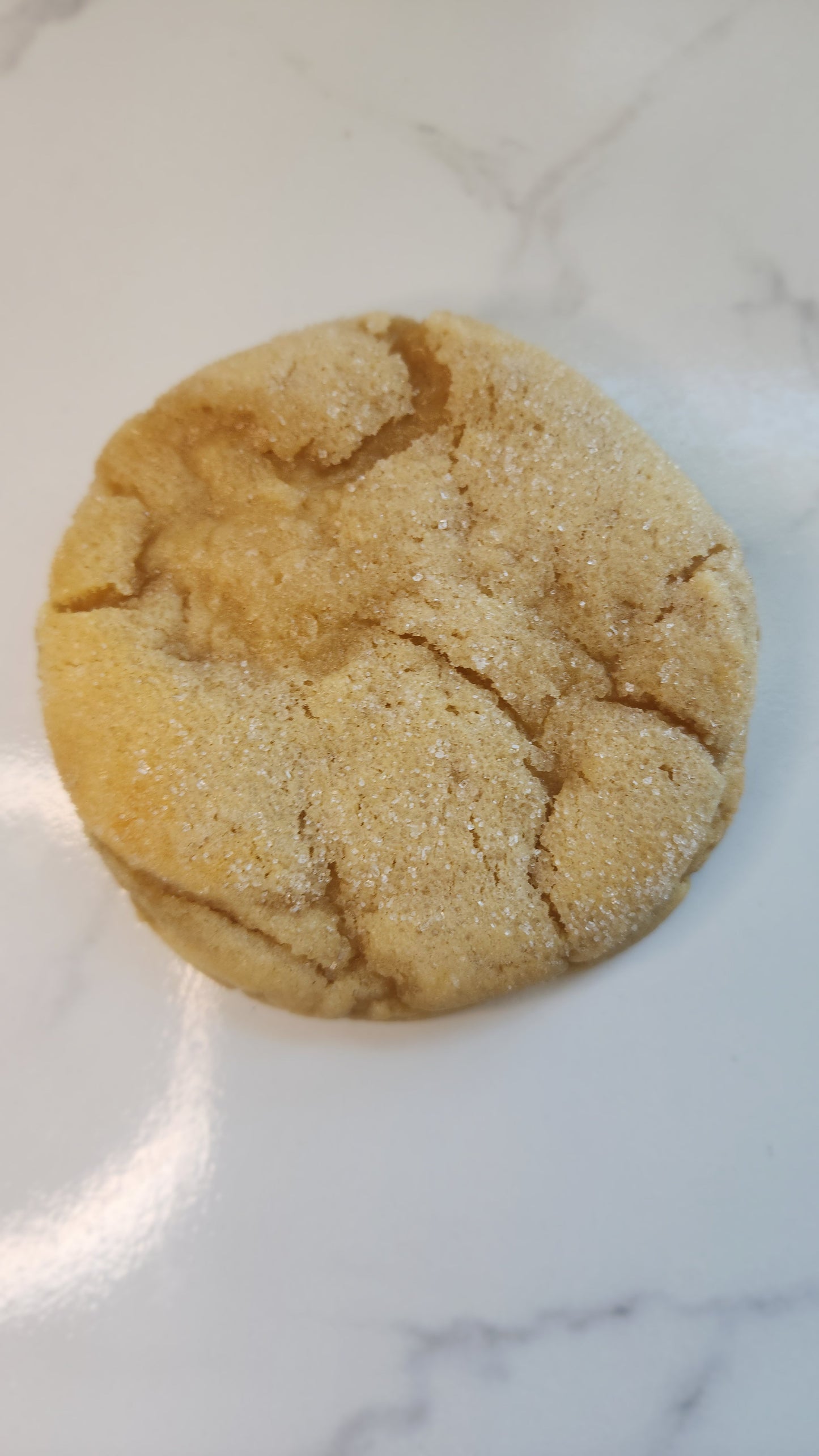 Sugar Cookie